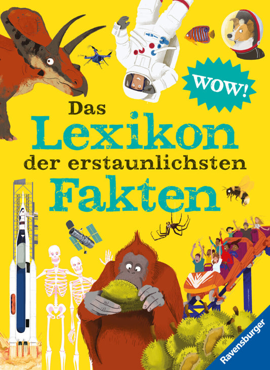 Das Lexikon der erstaunlichsten Fakten (Jacqueline Mccann)