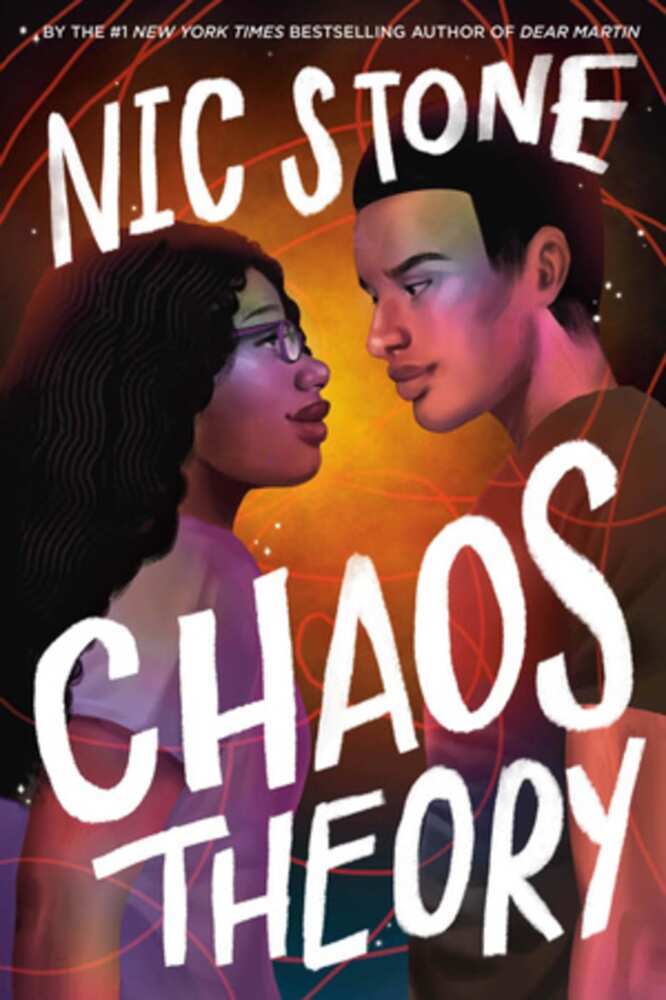 Chaos Theory (Nic Stone)