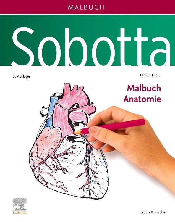 Sobotta Malbuch Anatomie (Oliver Kretz)