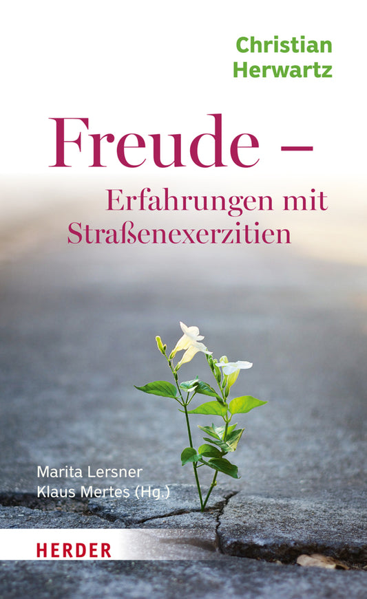 Freude - Erfahrungen mit Straßenexerzitien (Christian Herwartz)
