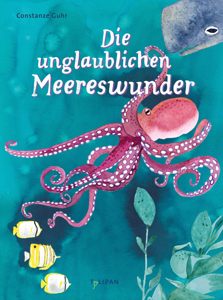 Die unglaublichen Meereswunder (Constanze Guhr)