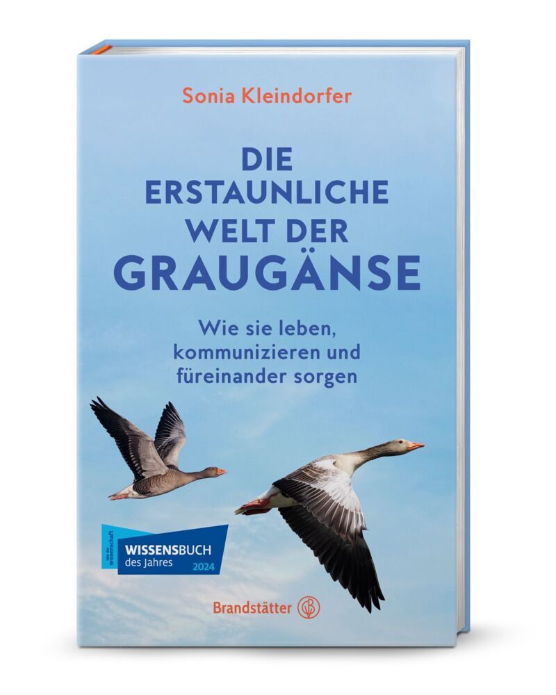 Die erstaunliche Welt der Graugänse (Sonia Kleindorfer)