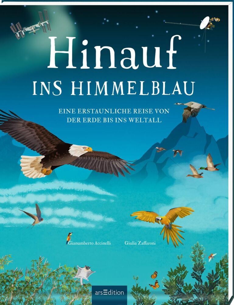 Hinauf ins Himmelblau (Gianumberto Accinelli)