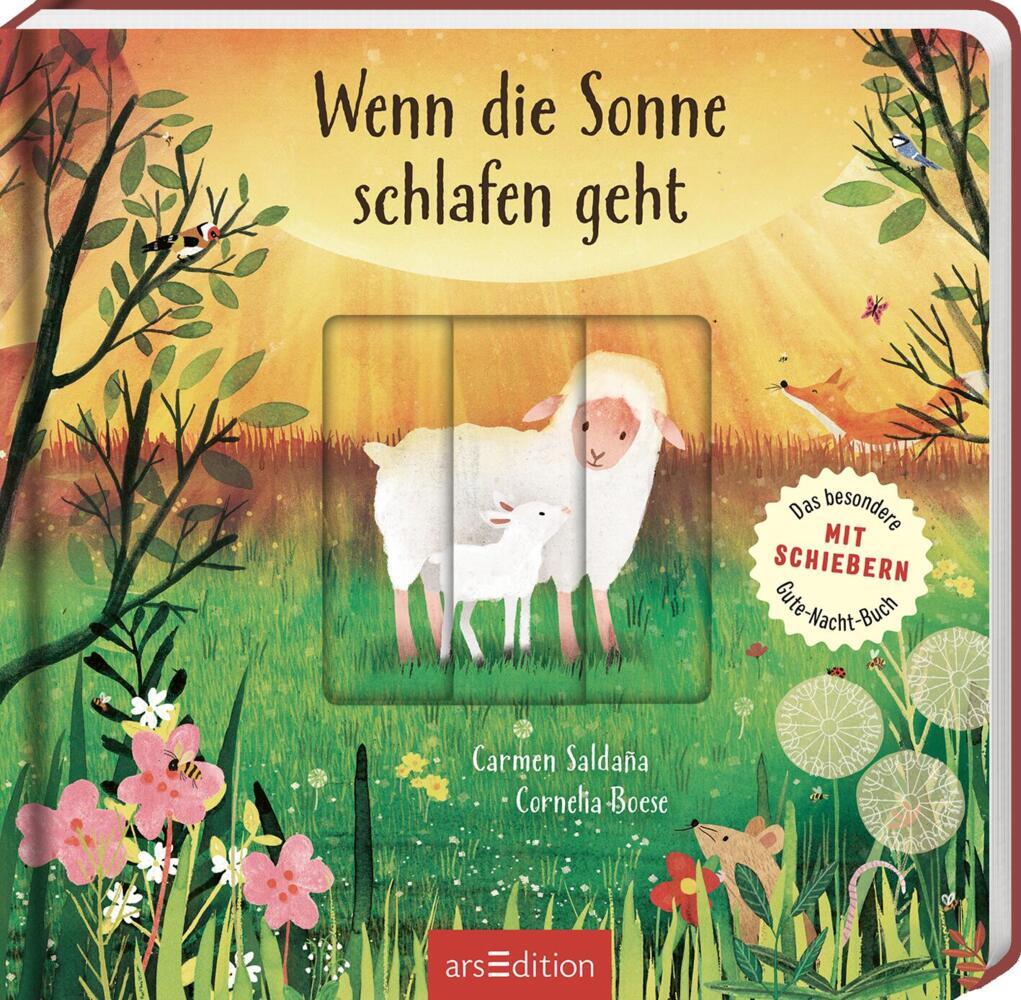 Wenn die Sonne schlafen geht (Cornelia Boese)
