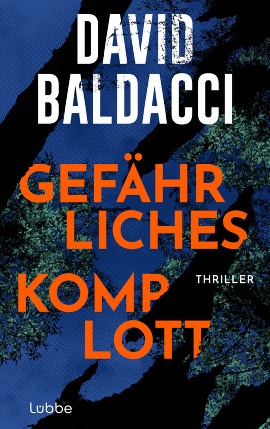 Gefährliches Komplott (David Baldacci)