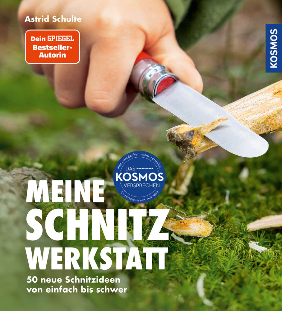 Meine Schnitzwerkstatt (Astrid Schulte)