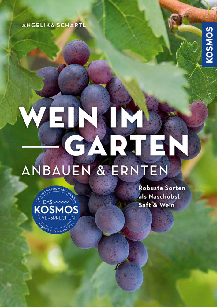 Wein im Garten anbauen & ernten (Angelika Schartl)