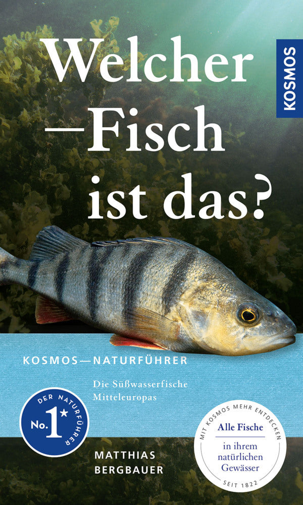 Welcher Fisch ist das? (Matthias Bergbauer)