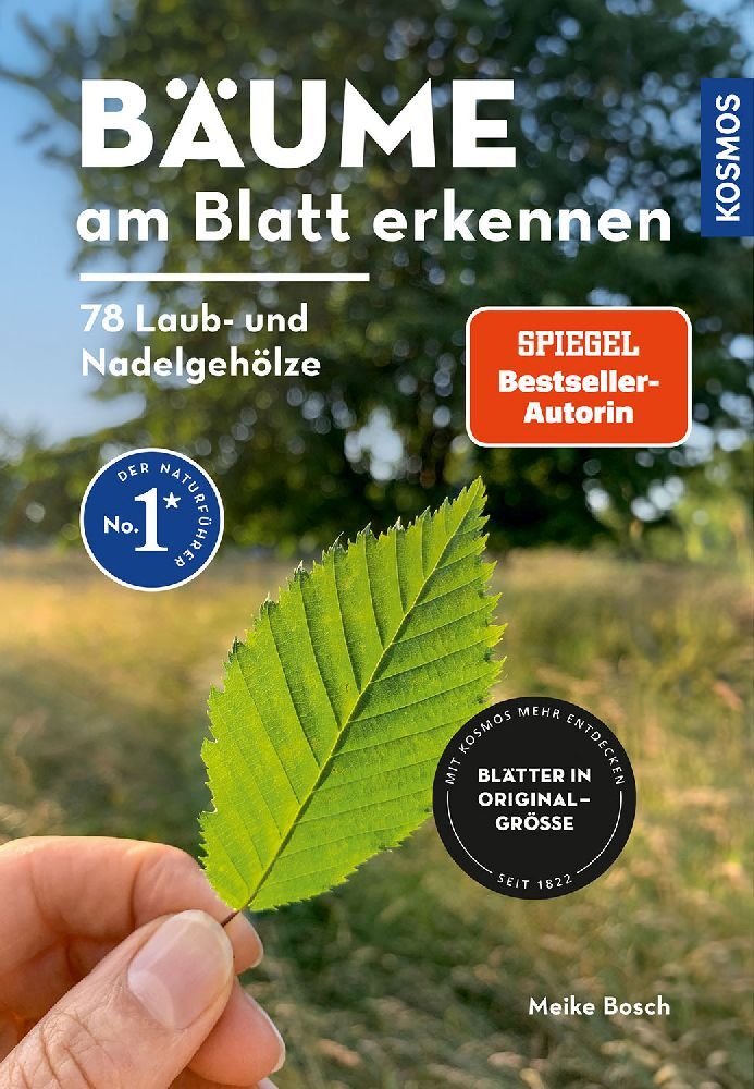 Bäume am Blatt erkennen - 78 Laub- und Nadelgehölze. Blätter in Originalgröße (Meike Bosch)