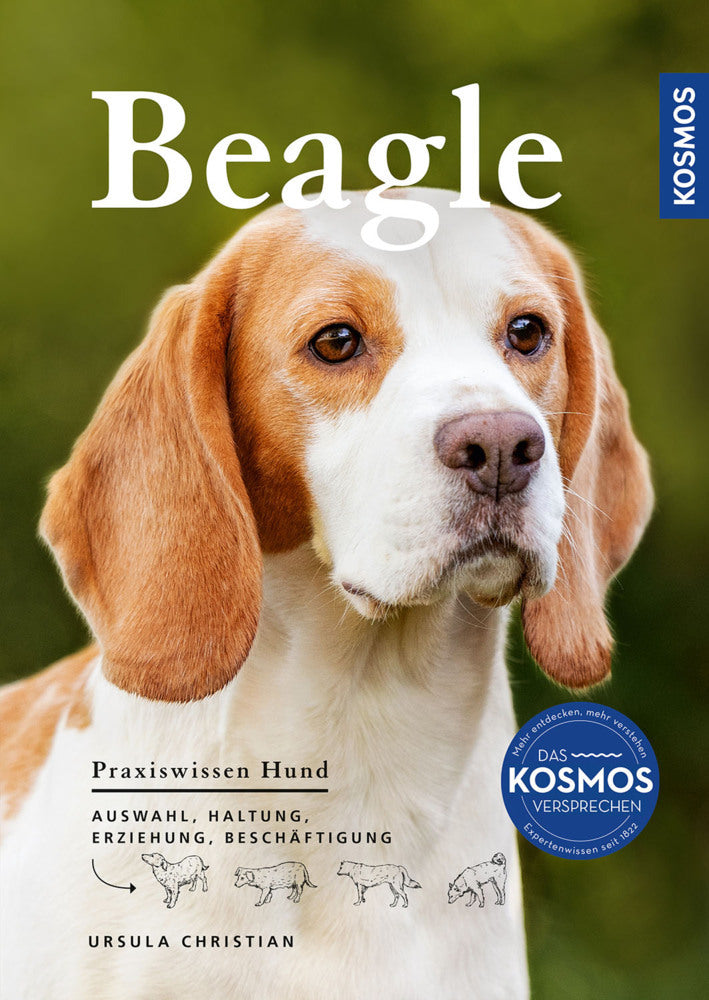 Beagle (Ursula Christian)