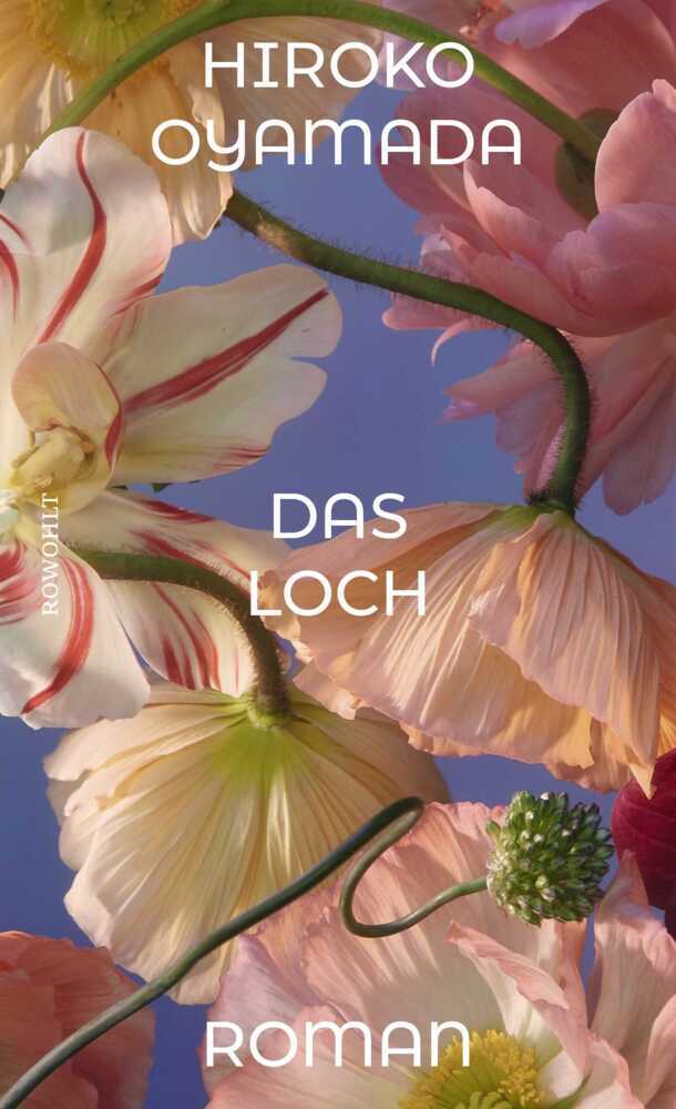 Das Loch (Hiroko Oyamada)