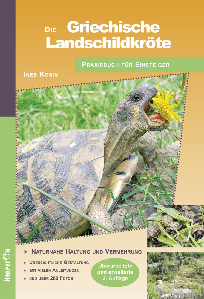 Die Griechische Landschildkröte (Ines Kosin)