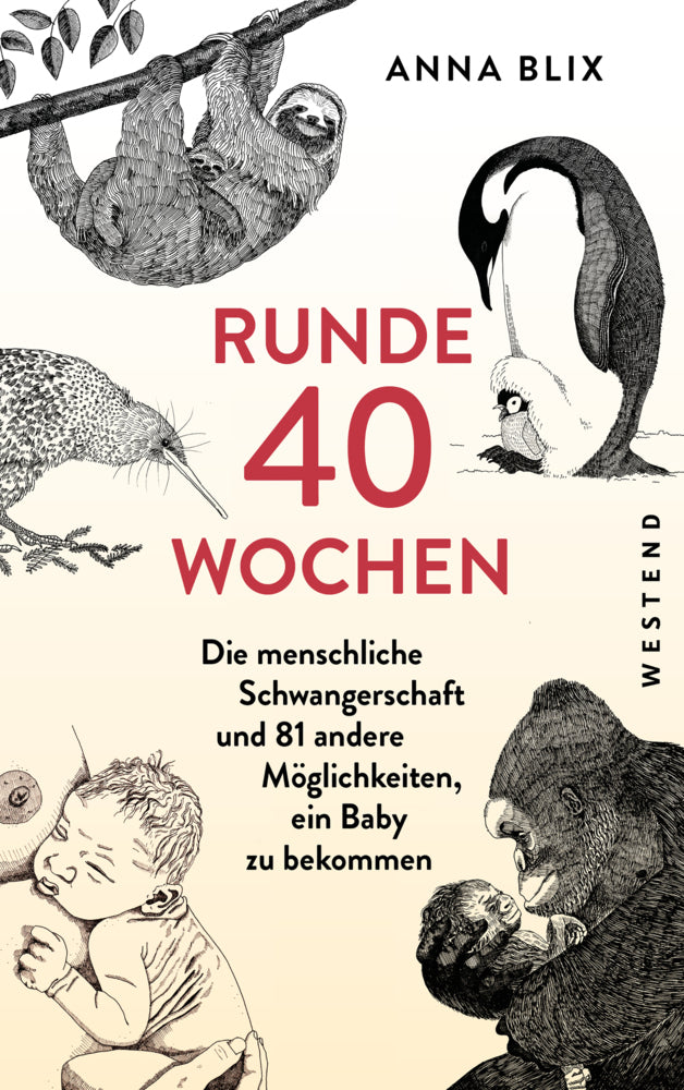 Runde 40 Wochen (Anna Blix)