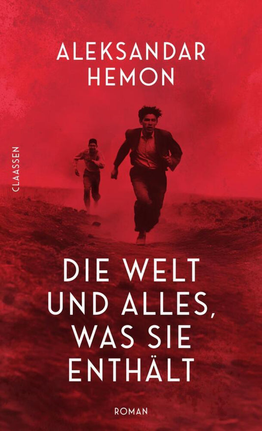 Die Welt und alles, was sie enthält (Aleksandar Hemon)