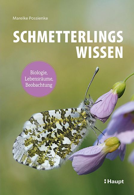 Schmetterlingswissen (Mareike Possienke)