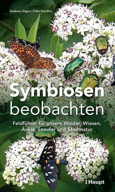 Symbiosen beobachten (Andreas Gigon)