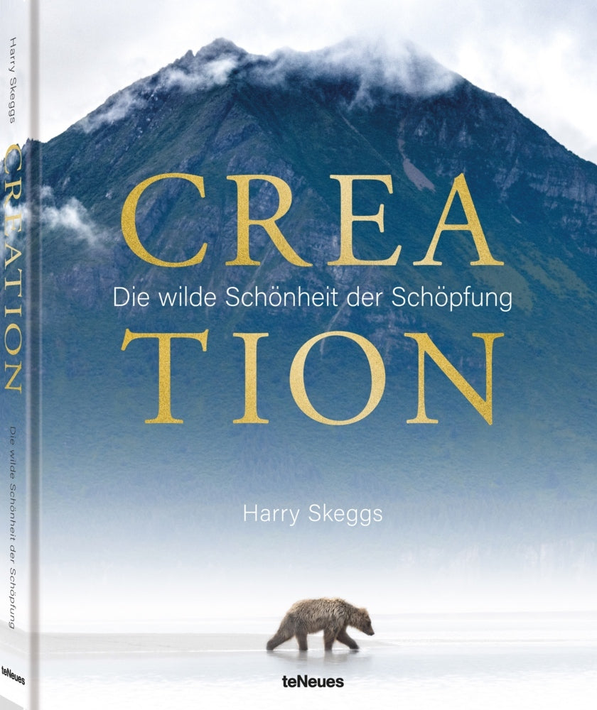 Creation (Harry Skeggs)
