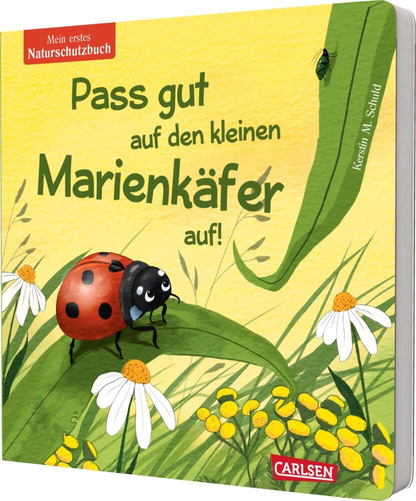 Pass gut auf den kleinen Marienkäfer auf (Kerstin M. Schuld)