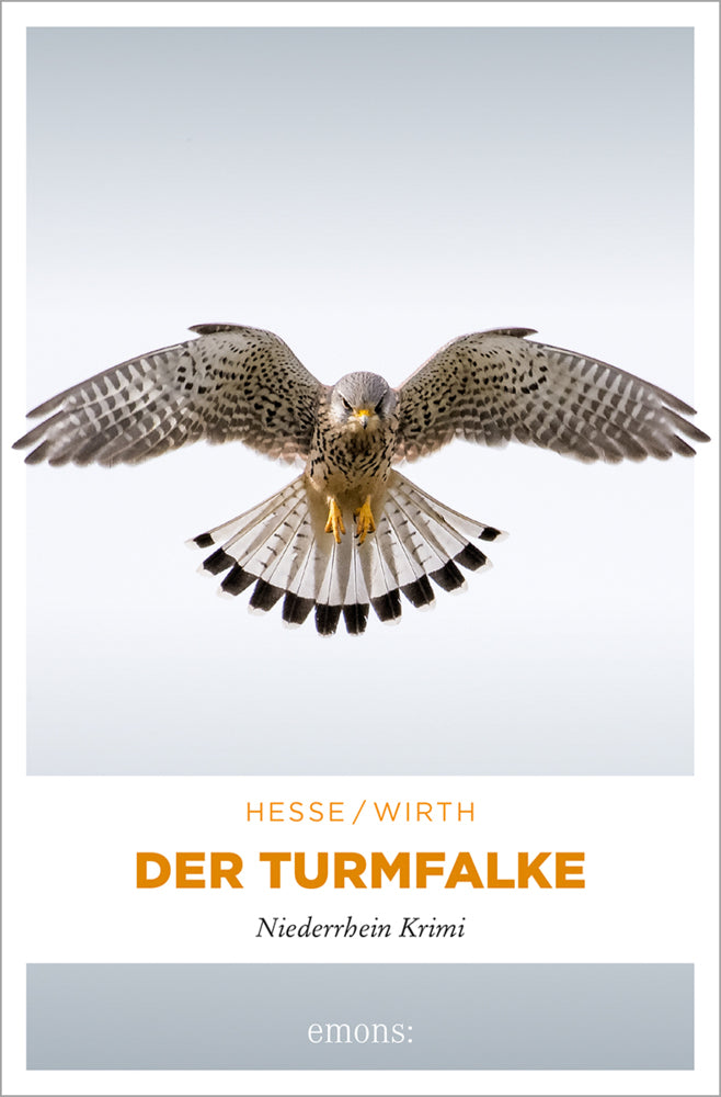 Der Turmfalke (Thomas Hesse)