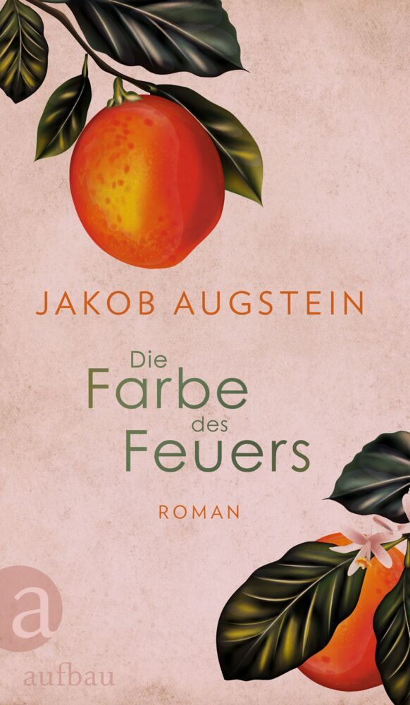Die Farbe des Feuers (Jakob Augstein)