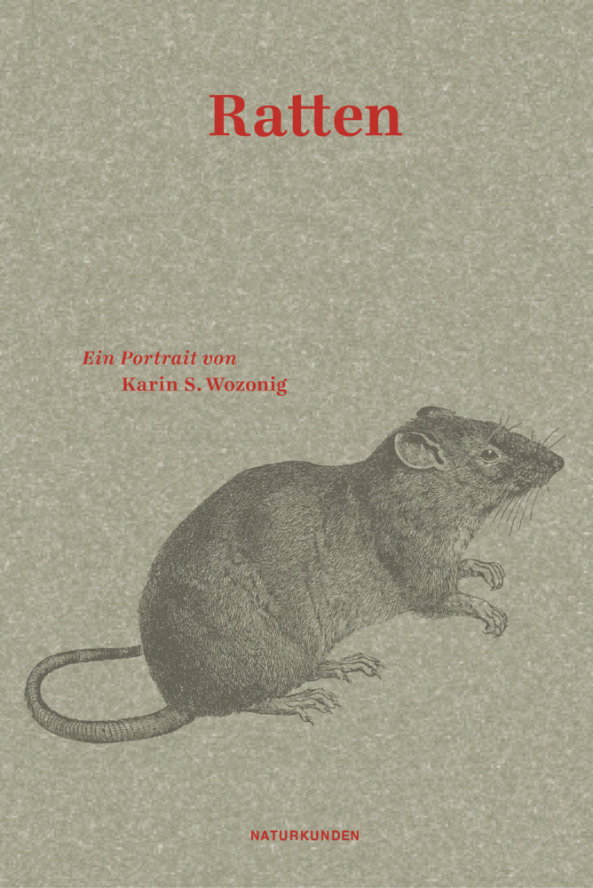 Ratten (Karin S. Wozonig)