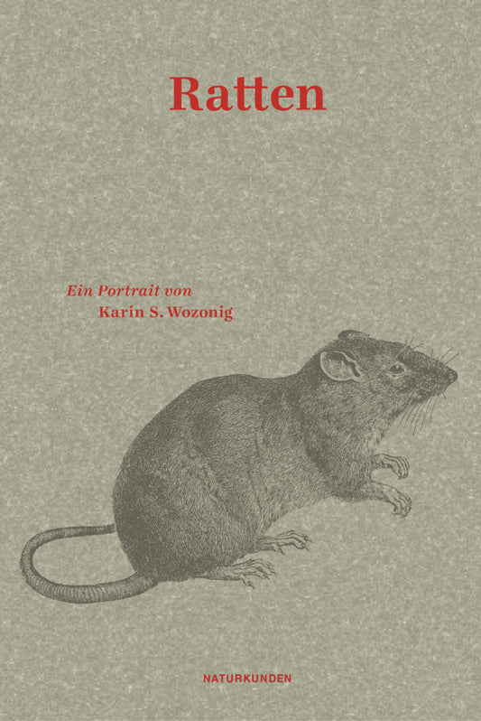 Ratten (Karin S. Wozonig)