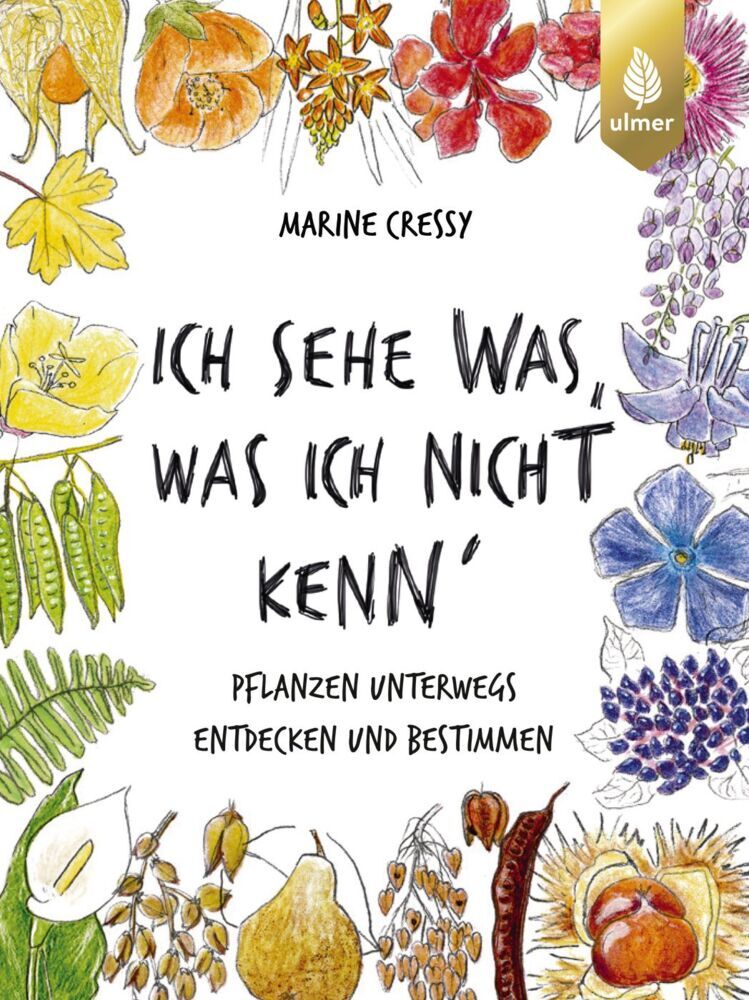 Ich sehe was, was ich nicht kenn´ (Marine Cressy)