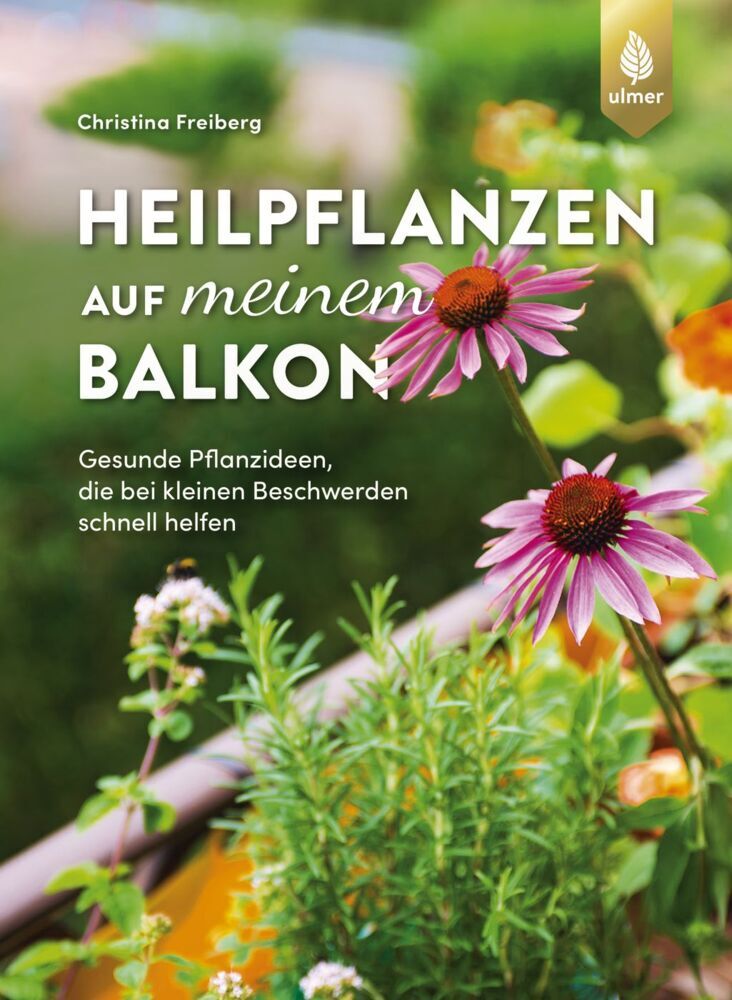 Heilpflanzen auf meinem Balkon (Christina Freiberg)