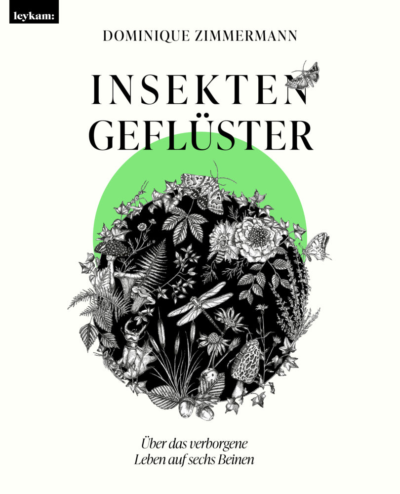 Insektengeflüster - Über das verborgene Leben auf sechs Beinen (Dominique Zimmermann)