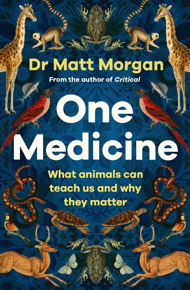 One Medicine (Matt Morgan)