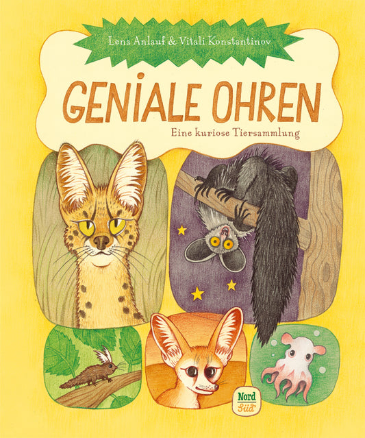 Geniale Ohren (Lena Anlauf)