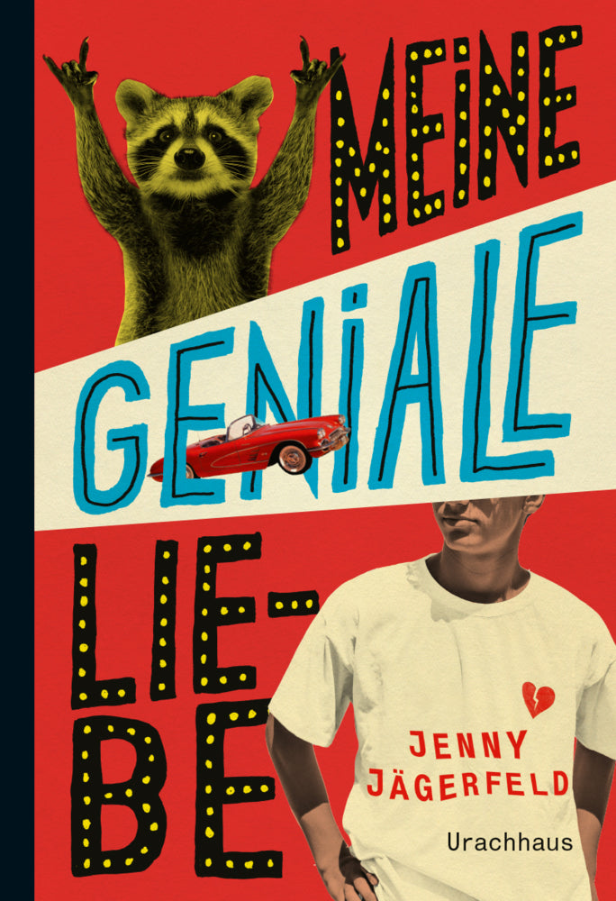 Meine geniale Liebe (Jenny Jägerfeld)