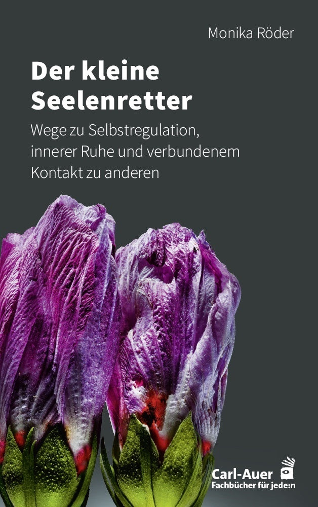 Der kleine Seelenretter (Monika Röder)