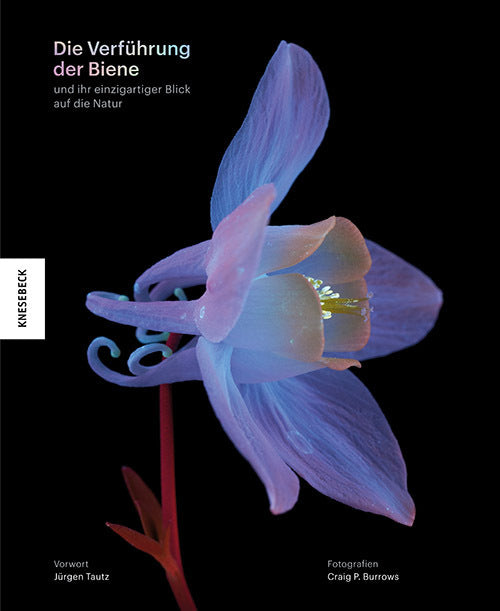 Die Verführung der Biene (Craig P. Burrows)
