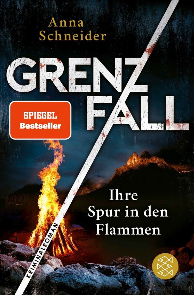 Grenzfall - Ihre Spur in den Flammen (Anna Schneider)