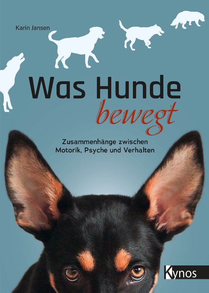 Was Hunde bewegt (Karin Jansen)