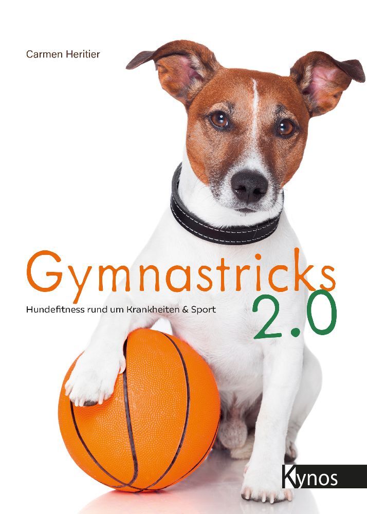 Gymnastricks 2.0 (Carmen Heritier)
