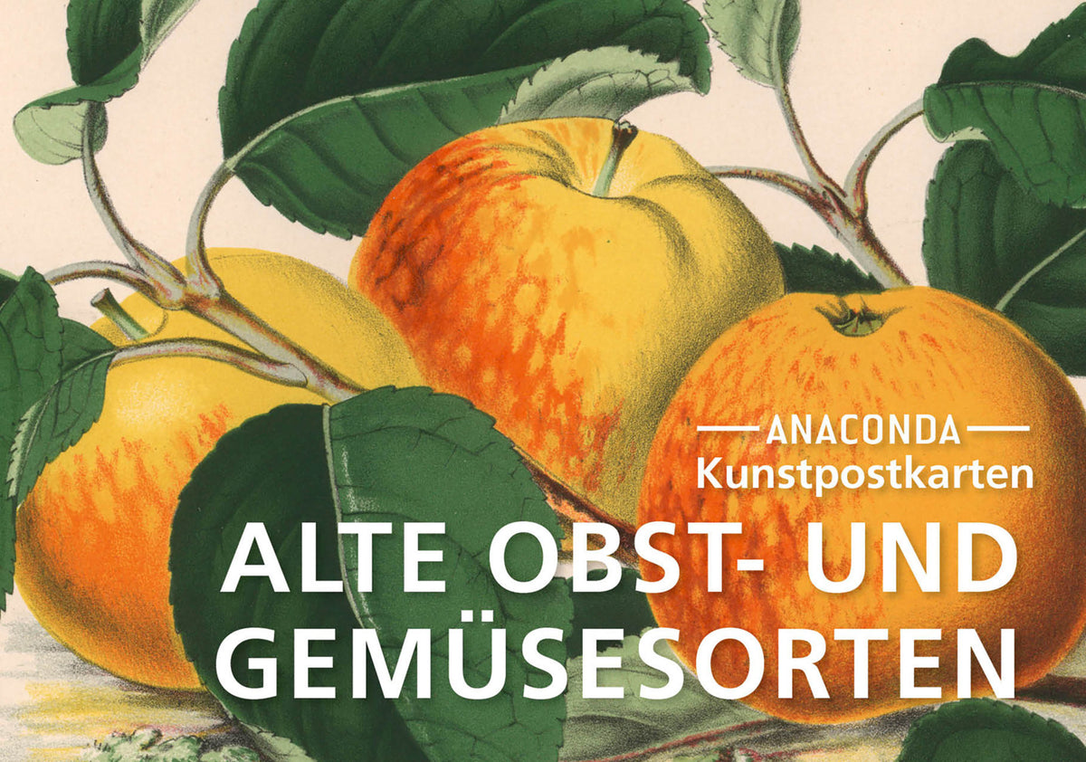 Postkarten-Set Alte Obst- und Gemüsesorten (Anaconda Verlag)