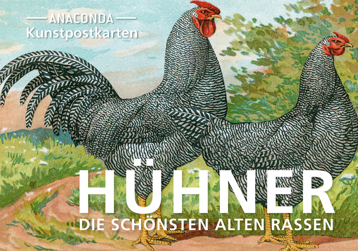 Postkarten-Set Hühner (Anaconda Verlag)