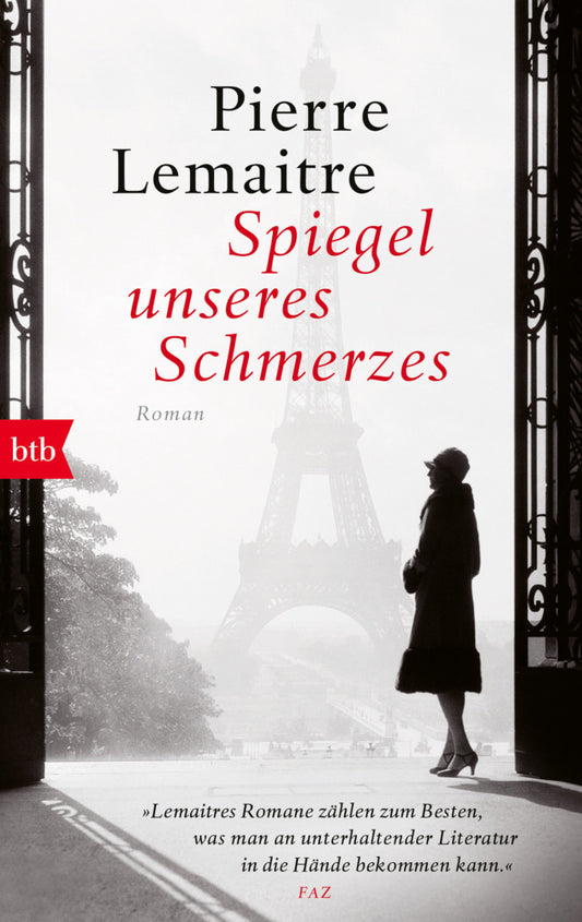 Spiegel unseres Schmerzes (Pierre Lemaitre)