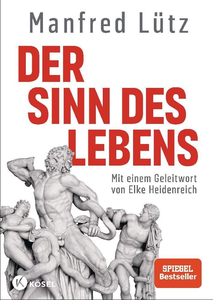 Der Sinn des Lebens (Manfred Lütz)