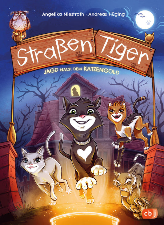Straßentiger - Jagd nach dem Katzengold (Andreas Hüging)