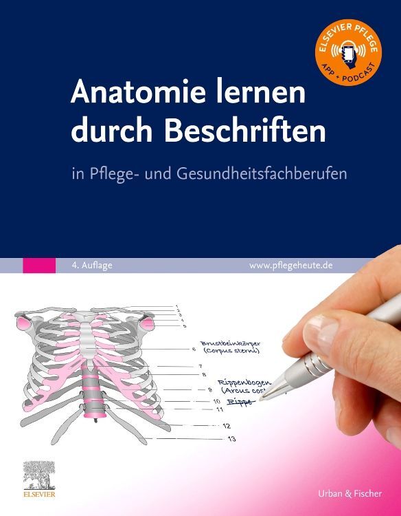 Anatomie lernen durch Beschriften (Elsevier Gmbh)