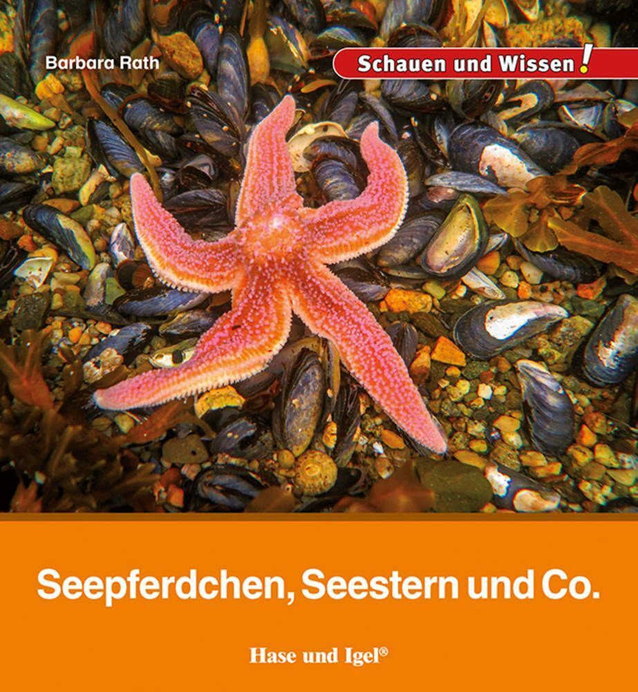 Seepferdchen, Seestern und Co. (Barbara Rath)