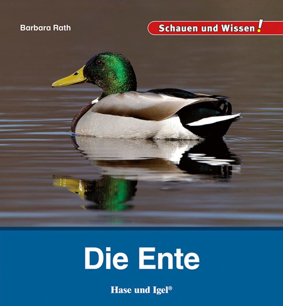 Die Ente (Barbara Rath)