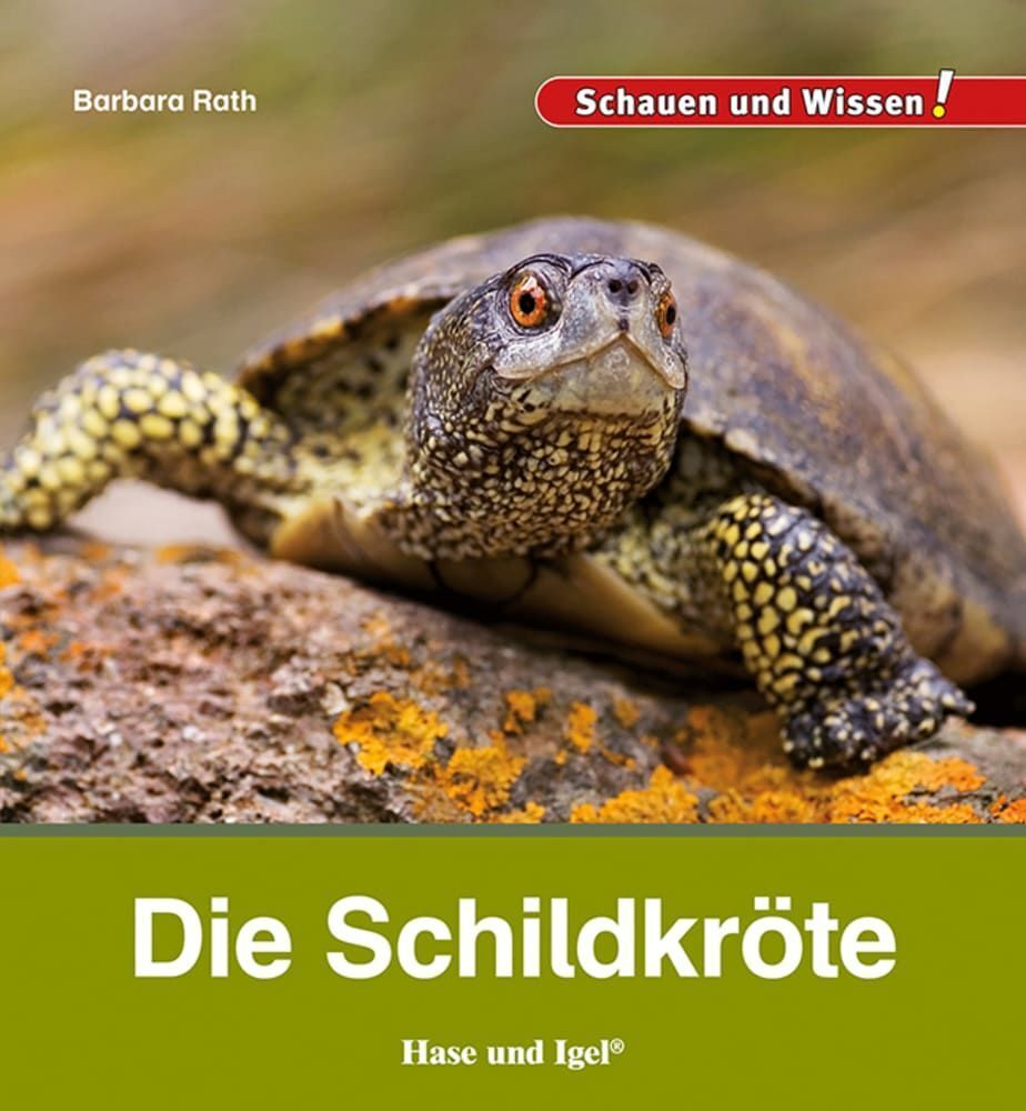Die Schildkröte (Barbara Rath)