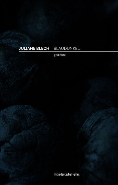 Blaudunkel (Juliane Blech)