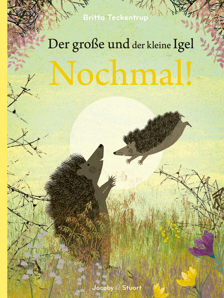 Der große und der kleine Igel / Nochmal! (Britta Teckentrup)