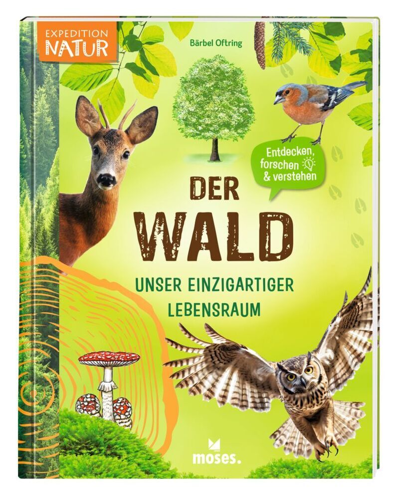 Der Wald (Bärbel Oftring)