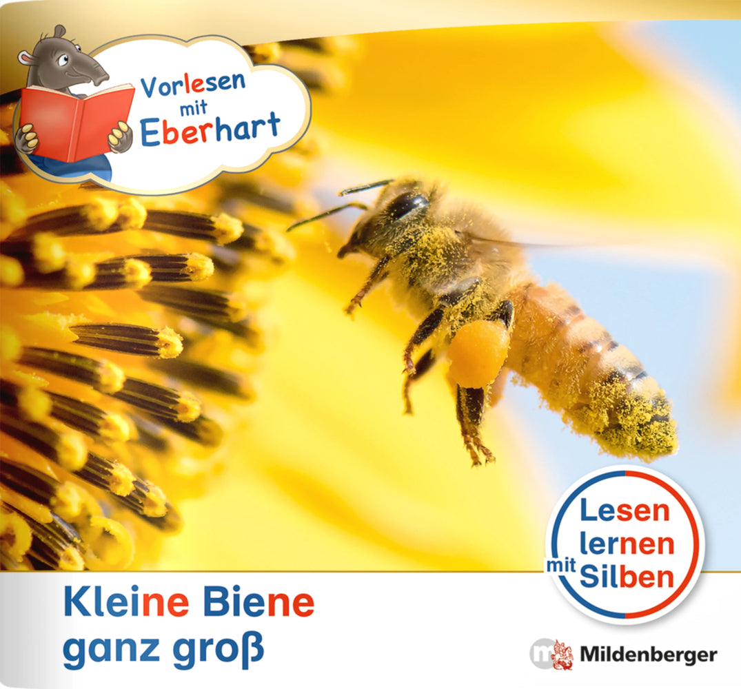 Vorlesen mit Eberhart - Kleine Biene ganz groß - Nachbezug Einzelheft (Nicole Brandau)